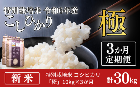 定期便 3ヵ月 コシヒカリ「極」10kg×3ヶ月 特別栽培米 令和6年産 こしひかり こしひかり定期便 お米の定期便 計30kg (コシヒカリ5kg×6個)  白米3か月 新潟県産 特別栽培米 特栽米 精米 お米 【定期便】アグリ巧房【070S005】