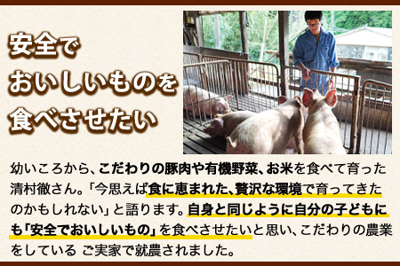 食べ比べしゃぶしゃぶセット 清村養豚《60日以内に出荷予定(土日祝除く)》 豚 肉 冷凍 小分け 熊本県御船町