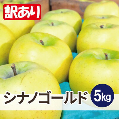 【ふるさと納税】【26年1月出荷予定】平均糖度13度以上! シナノゴールド 約5kg 訳あり【配送不可地域：離島・沖縄県】【1703791】