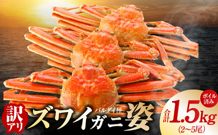【訳あり規格】バルダイ種 ズワイガニ姿 1.5kg（2～5尾）【ボイル済み オオズワイガニ かに カニ 蟹 ズワイガニ ファミリー向け】