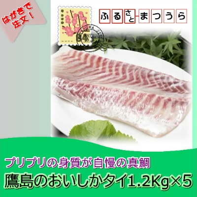 お届けオーダーメイド!鷹島のおいしか鯛1.2kg×5【配送不可地域：離島】【1242725】