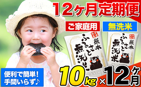 【12ヶ月定期便】熊本ふるさと無洗米 10kg《お申込み翌月から出荷》