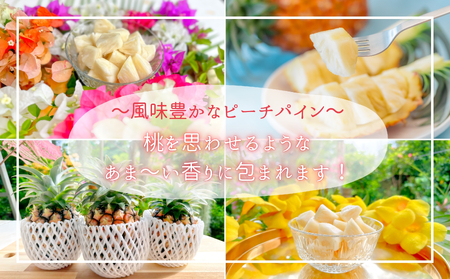 【ピーチ定期便★約4kg×3回】☆新感覚☆ 桃のような芳醇な香りのする『西表島産 完熟ピーチパイン』 2025年 発送 西表島ナウパカ パイナップル 果物 フルーツ デザート