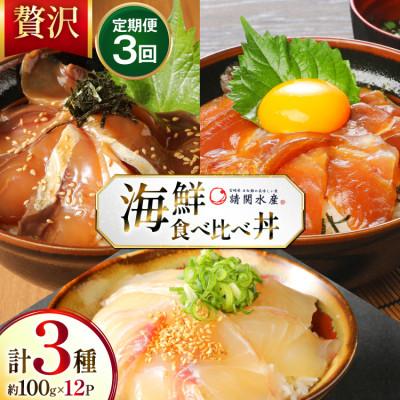 ふるさと納税 日向市 【毎月定期便】海鮮丼 海鮮漬け丼　全3回