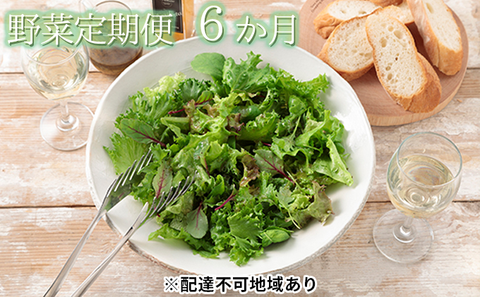 
【Ortolano】野菜 定期便（6か月コース）【配達不可：北海道・沖縄・離島】 [№5220-0558]
