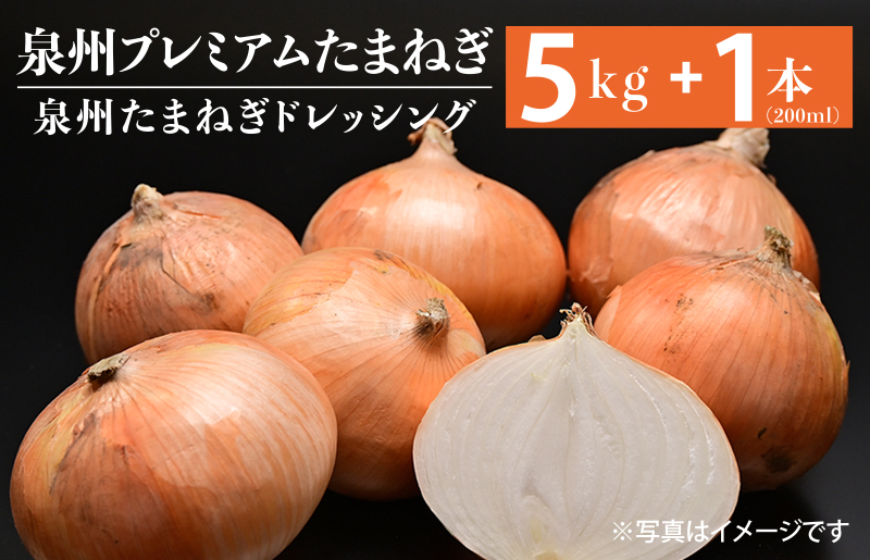 G1319 射手矢さんちの泉州プレミアムたまねぎ5kgとドレッシング 200ml×1本