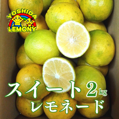 先行予約 レモン 食べるレモン スイートレモネード 2kg【1030849】