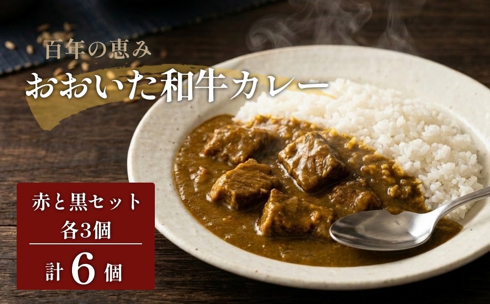 
                  百年の恵み おおいた和牛カレー 赤と黒セット 各3個 計6個
                