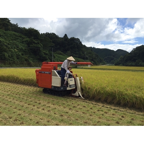 ★10/頭〜発送開始★定期便 ３ヶ月 食味値 80点以上 にじのきらめき お米 精米 ３kg 月１回 ／民ちゃん農園 ふるさと納税 有機肥料 ハイグレード 極上 おいしい ミネラル 米 こめ お米 お