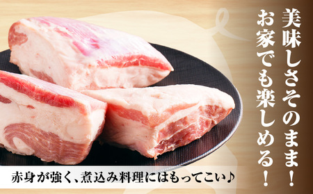 訳あり　宮崎県産 豚バラブロック1kg 豚 豚バラ バラ