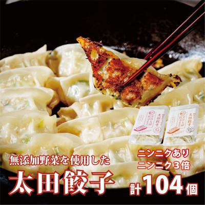 ふるさと納税 常陸太田市 無添加野菜を使用したなごみ家 冷凍生餃子104個(にんにくあり&amp;にんにく3倍 各13個入×4パック)