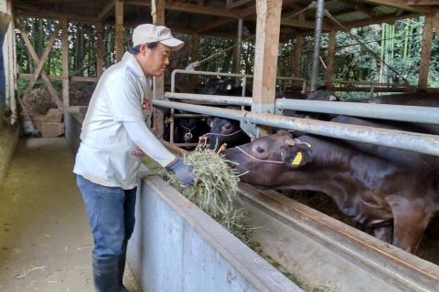 【C-149】＜なかむら謹製＞【博多和牛】黒毛和牛肩ロースすき焼き用うす切り400g
