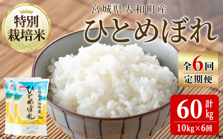 【令和8年産】＜6か月定期便＞特別栽培米 ひとめぼれ 10kg×6回(合計60kg) お米 おこめ 米 コメ 白米 ご飯 ごはん おにぎり お弁当 頒布会【農事組合法人若木の里】ta542