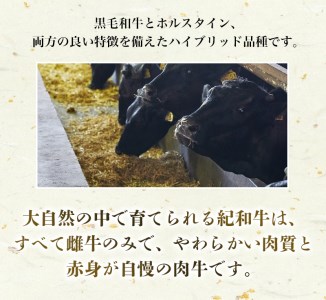 国産 紀和牛 サーロインステーキ 4枚セット【冷凍】 / ステーキ サーロインステーキ サーロイン 牛肉 肉 国産牛 ブランド牛【tnk102-2】