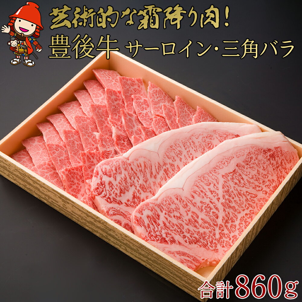 【ふるさと納税】豊後牛 サーロインステーキ・三角バラ 焼肉用 セット | サーロイン 180g×2枚 三角バラ 500g ステーキ 焼肉 バラ肉 ブランド牛 お肉 肉 国産 大分県産 冷凍 送料無料 大分県 中津市