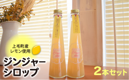上毛町産レモン使用 ジンジャーシロップ 2本 セット 上毛町産 レモン お湯割り 炭酸割り ビール割り 豆乳割り ジン割り ノンワックスレモン 生姜 ドリンク 調味料 箱入り 贈り物 福岡県 上毛町 お取り寄せ　KT0402