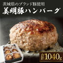 【ふるさと納税】美明豚ハンバーグ　130g　8個セット（AP-11）