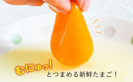 平飼い もみじ の 高級 たまご 新鮮 産みたて卵 20個【野中鶏卵】[OAC014] / 卵 長持ち 濃厚 玉子 濃厚 卵料理 タマゴ 鶏卵 オムレツ 卵かけご飯 卵焼き