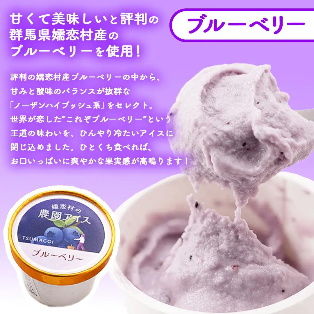 嬬恋村 の 農園 アイス 食べ比べセット 10個入（ さつまいも ・ ブルーベリー 各5個 ） [AT023tu]