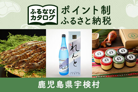 【有効期限なし！後からゆっくり特産品を選べる】鹿児島県宇検村カタログポイント