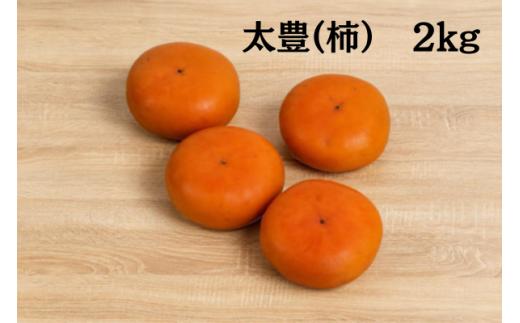 「市川さんの柿」太豊２ｋｇ