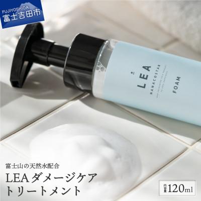 ふるさと納税 富士吉田市 「ホイップ泡のアウトバストリートメント」 サロン美容室仕様 洗い流さないヘアケアトリートメント