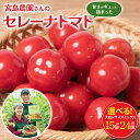 【ふるさと納税】【先行予約】セレーナトマト サイズミックス24個または大粒15個 400g以上 選べるサイズ 宮島農園 トマト 野菜 赤 ミニトマト プチトマト サラダ 生野菜 旬 冷蔵 八代市産 国産 熊本県 九州 送料無料 【2024年11月下旬より順次発送】