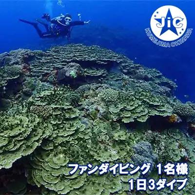 ダイビング 久米島ファンダイビング利用券1名様 1日3ダイブ マリン アクティビティ