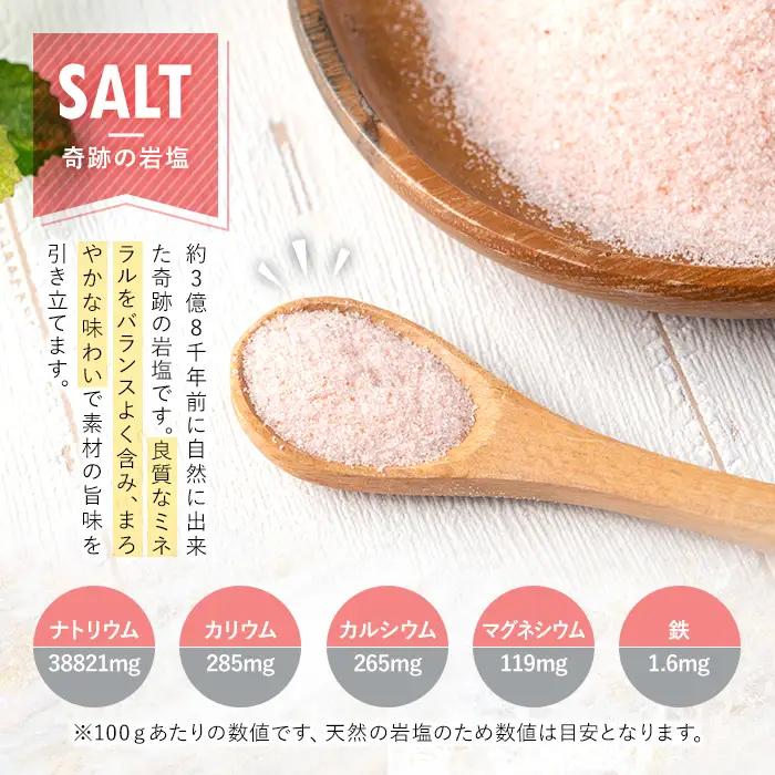 《業務用・訳あり》 ヒマラヤ岩塩 ピンク パウダー 5kg 【ソルティースマイル】 i700-01