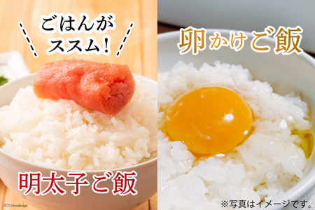 6回 定期便 米 宮城県産 3種 食べ比べセット ササニシキ & だて正夢 & つや姫 各2kg 総計 36kg 