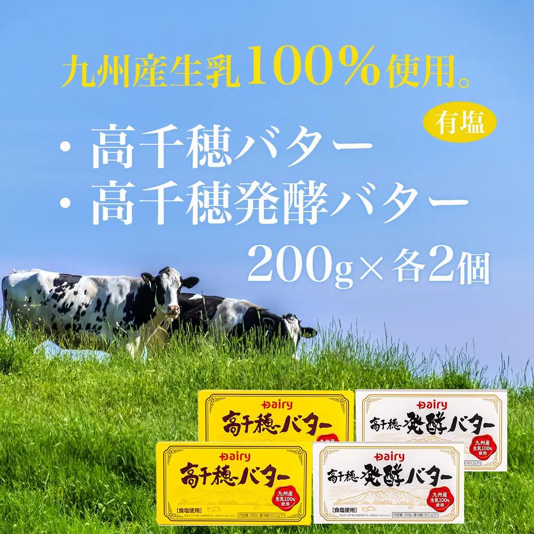 高千穂バター&発酵バター各2個セット〔12-2302〕_(都城市) 高千穂バター 高千穂発酵バター有塩タイプ メタルチャーン製法 南日本酪農 バター