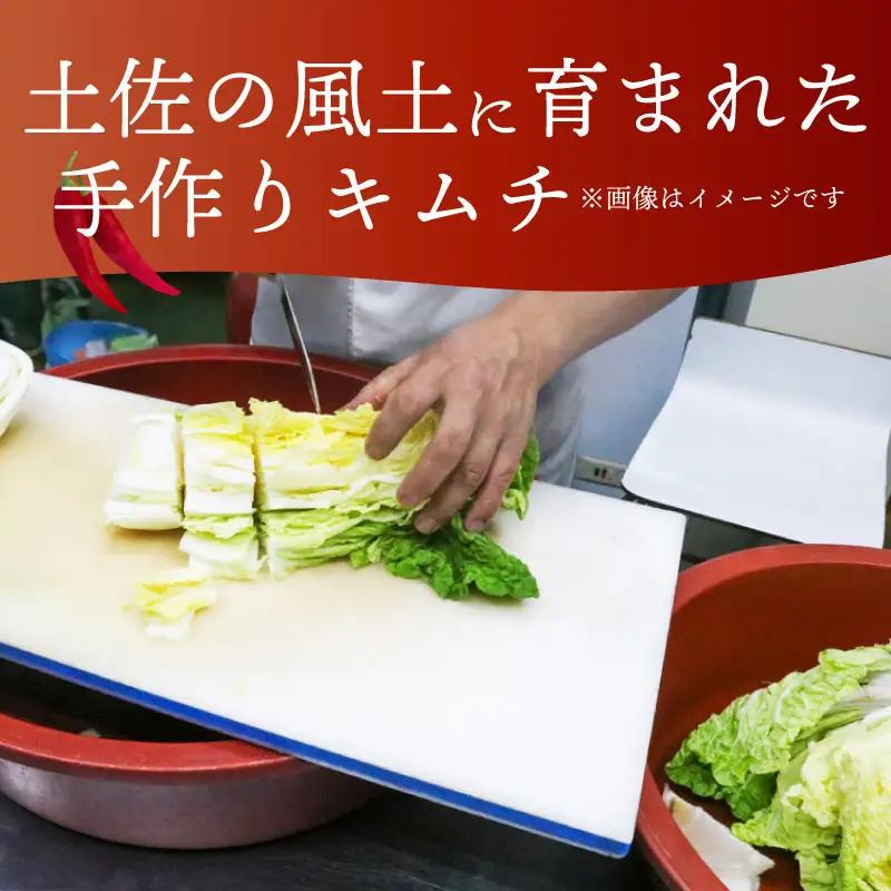 土佐キムチ 【300g×3】 合計900g 大根キムチ