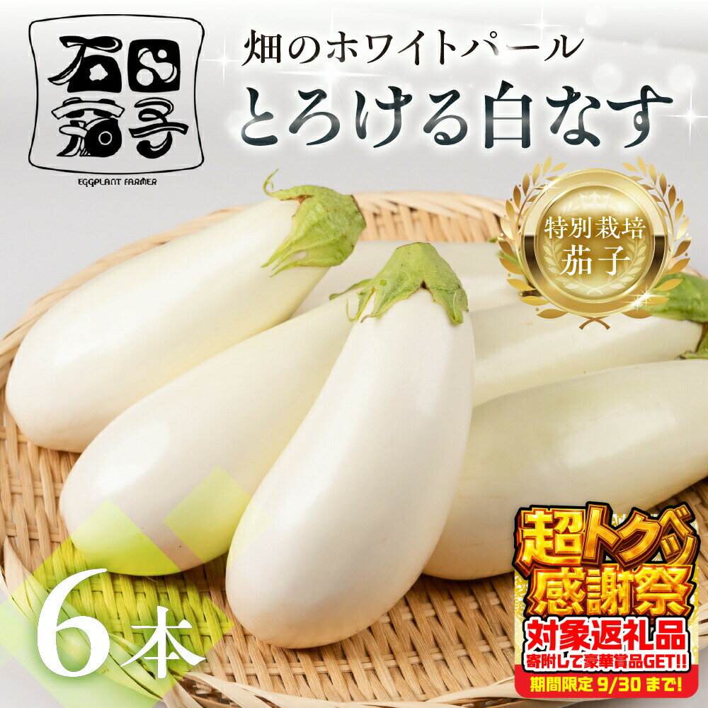 【ふるさと納税】≪TVで話題！≫白茄子 6本 ナス 茄子 なす なすび 白なす しろなす 白ナス 白茄子 野菜 旬 旬の野菜 糖度 石田茄子 お取り寄せ 健康 夕飯 おかず 愛知県 豊橋市 1万円 10000円