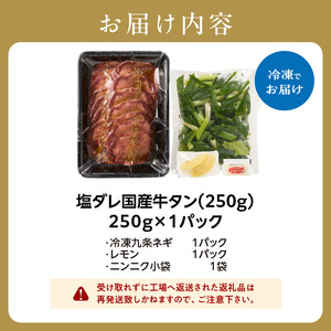 「京都人気焼肉店」貴重！塩ダレ国産牛タン 九条ネギレモン付き 250g 093-39