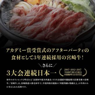 【定期便】宮崎牛12か月定期便Ｄ 4大会連続日本一 国産九州産 肉 牛 宮崎県産 牛肉 黒毛和牛 ミヤチク 全12回 】