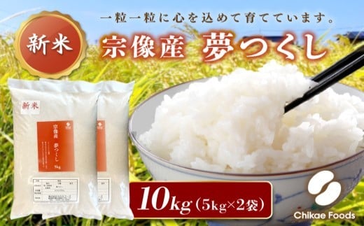 宗像産 夢つくし 10kg（5kg×2）( 米 白米 おいしい 福岡産 宗像産 夢つくし 10kg 10キロ )【ちかえフーズ】_HA1808