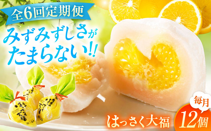 【全6回定期便】お菓子 はっさく大福12個入 お菓子 大福 八朔 柑橘 みかん オレンジ 餅 ギフト お取り寄せ スイーツ フルーツ大福 ご当地 菓子 おかし デザート 食品 人気 おすすめ 広島県福