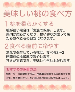 ＜先行予約＞白桃 秀品 3kg 【8月上旬～9月上旬発送】 品種おまかせ 山形県 朝日町産 フルーツ 山形産 桃 もも モモ ピーチ 果物 夏