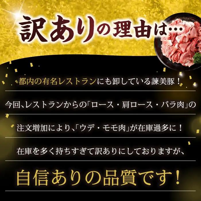 【訳あり】諫美豚切り落とし 2.1kg 豚切り落とし AHAD063