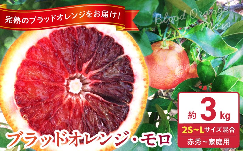 
                  【2027年先行予約】庄助農園 ブラッドオレンジ モロ 約 3kg サイズ混合 厳選採果 オレンジ コク 甘み 酸味 完熟 芳醇な香り 柑橘 フルーツ デザート 果実 農家直送 自然の恵み お取り寄せ 和歌山県 湯浅町 送料無料 _BK6021
                