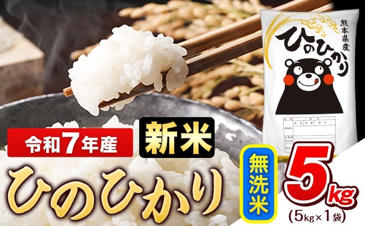 
            新米 令和7年産 無洗米 ひのひかり 5kg《9月下旬-11月上旬頃出荷》令和7年産 熊本県産 ふるさと納税 無洗米 精米 ひの 米 こめ ふるさとのうぜい ヒノヒカリ コメ お米 おこめ
          