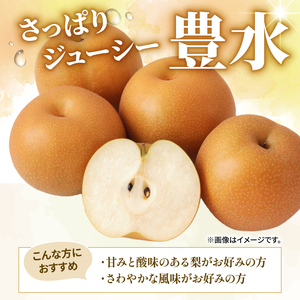 【順次発送中】梨 5kg 豊水 | 梨 IDG