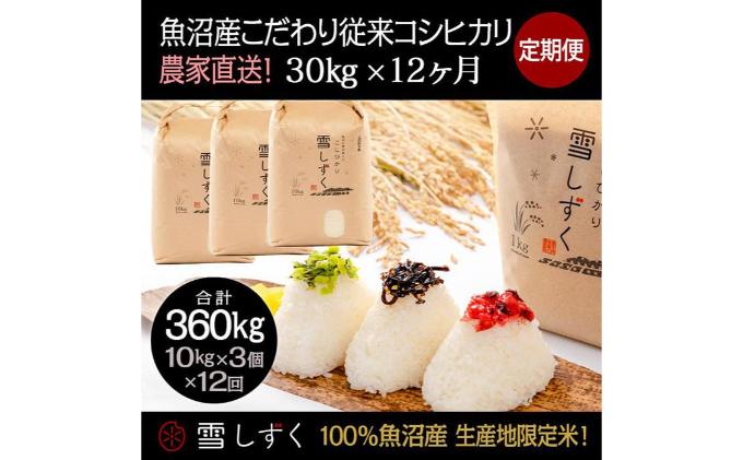 【令和7年産】定期便！魚沼産こだわり従来コシヒカリ【合計360kg】毎月30kg×12回 ブランド米 銘柄米 白米 精米 ご飯 おにぎり お弁当 