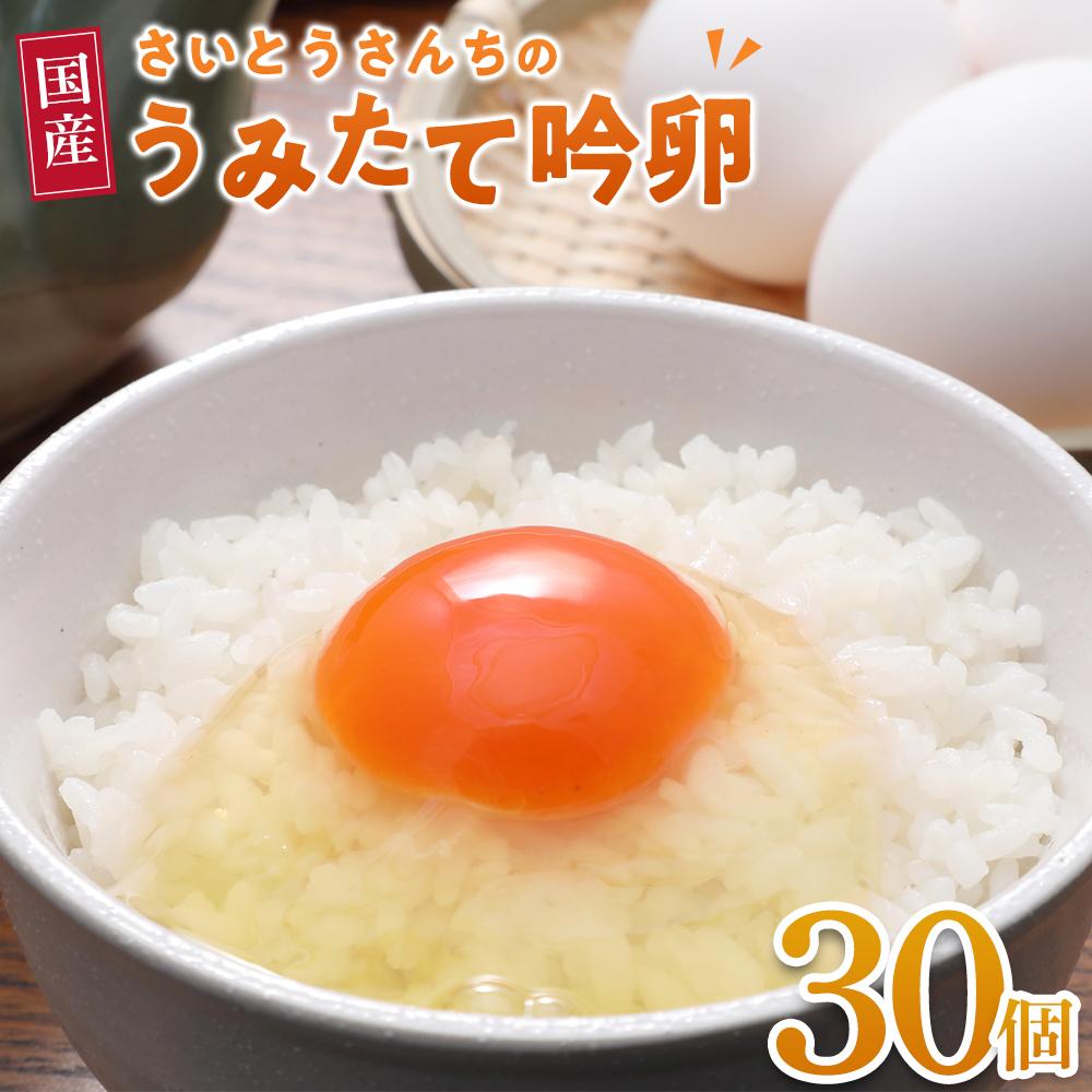 【ふるさと納税】＼うみたて出荷／ 卵 30個 | たまご 玉子 タマゴ 鶏卵 国産 ごはん 卵かけごはん 卵焼き 玉子焼き オムライス 人気 おすすめ お取り寄せ グルメ 宮城