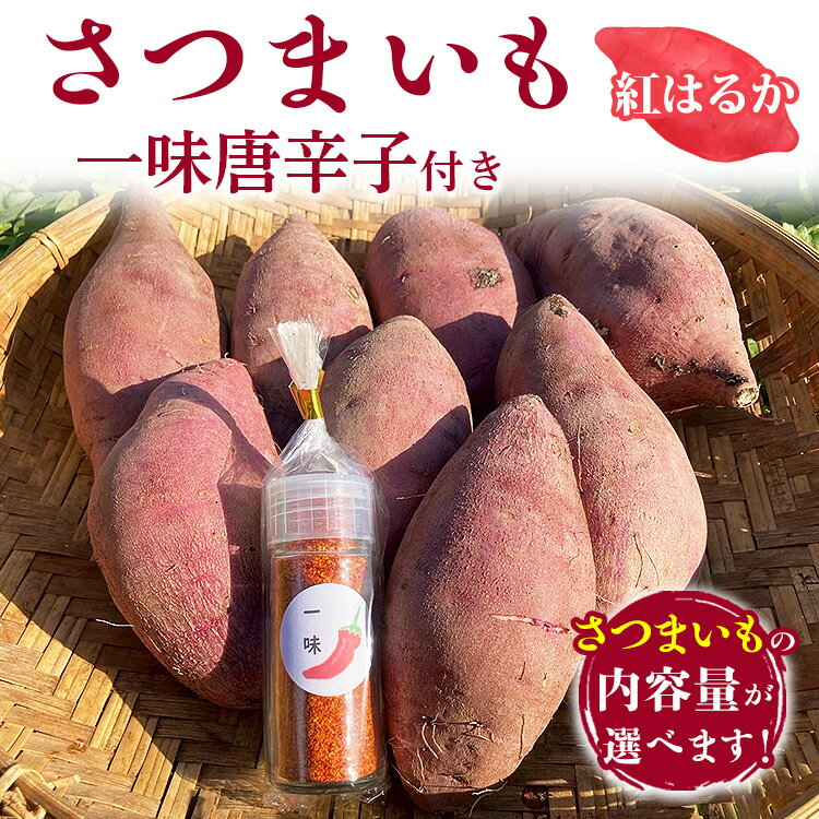 【ふるさと納税】＼選べる内容量／ さつまいも 紅はるか 2kg・4kg 一味唐辛子付き（20g） ｜ サツマイモ かんしょ 美浜町産 知多半島産 愛知県産 国産 期間限定 香辛料 調味料 味付け　※北海道・沖縄・離島への配送不可