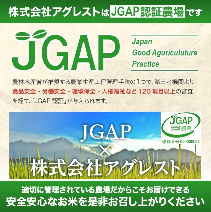 SE0519　令和7年産 【無洗米】 ひとめぼれ　10kg (5kg×2袋) 農家直送『いいあん米』AG