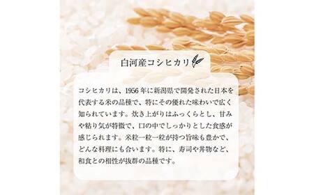 【無洗米】白河市産 コシヒカリ 2kg 米 コメ ごはん ご飯 食品  F24R-080