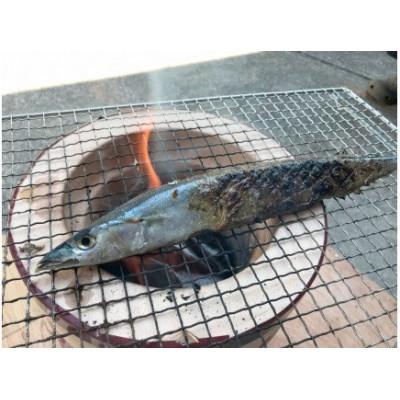 ふるさと納税 南伊豆町 湯の花　干物セット6種 |  | 02
