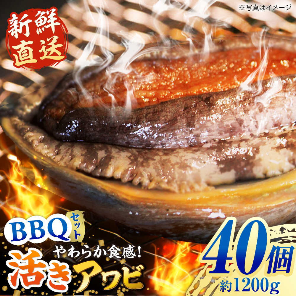 【ふるさと納税】【日付指定必須】五島産養殖 アワビ・バーベキューセット 40個セット 約1200g 五島市/（有）都工業 BBQ あわび 鮑[PEX008] アワビ 鮑 あわび BBQ バーベキュー
