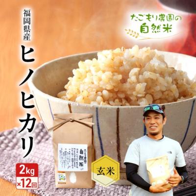 ふるさと納税 小郡市 定期便 12ヶ月 米 たごもり農園の自然米 ヒノヒカリ 玄米 2kg お米[No5354-2131]